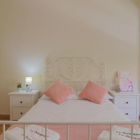 C102 - Huge And Stylish 5 Bedroom By The Center 马拉加 外观 照片